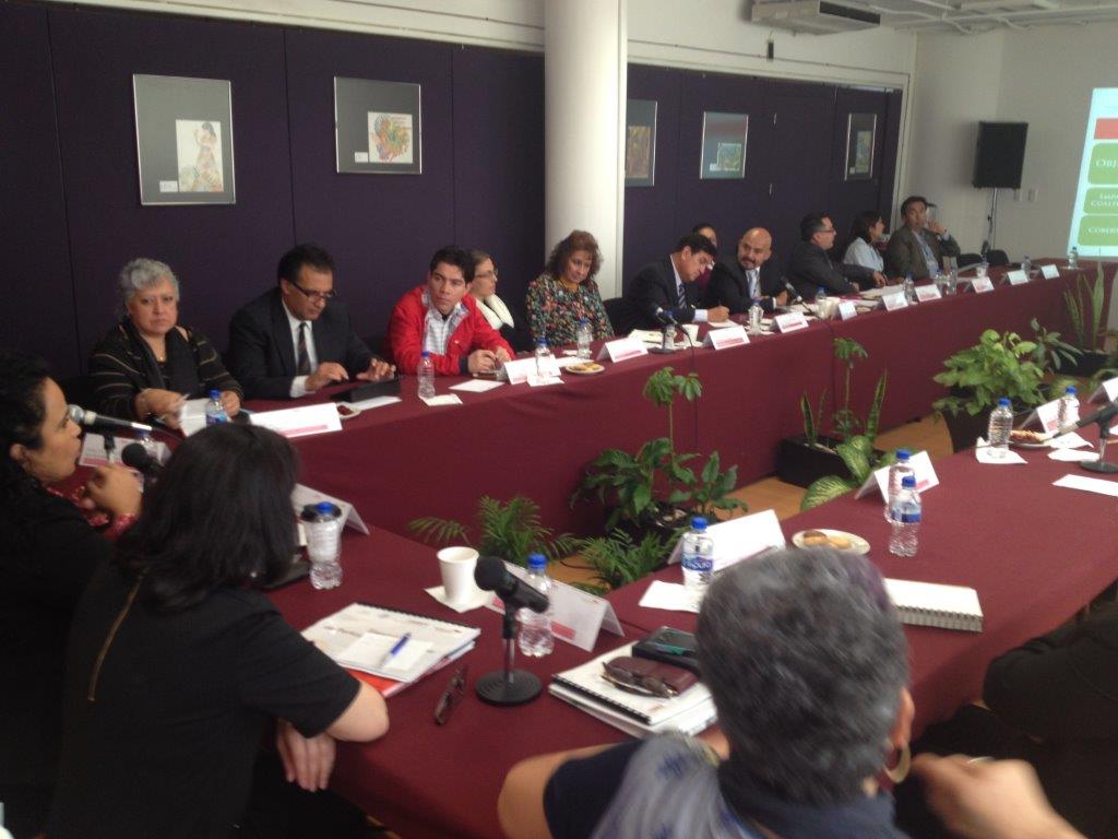 EJERCICIO DE PARTICIPACIÓN CIUDADANA 2014